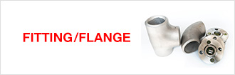 Fittings / Flanges
