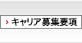 キャリア募集要項